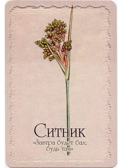 Оракул «Селам или Язык Цветов»